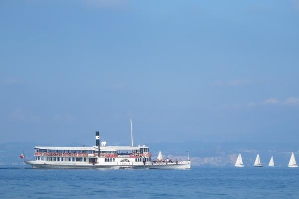 羊鼠相害到底有多严重