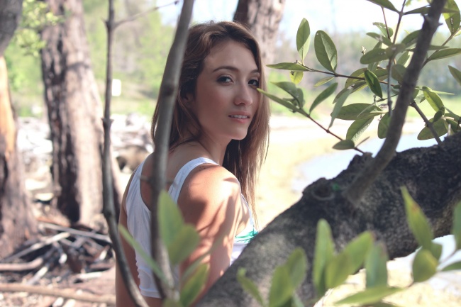 属虎的今年运气如何