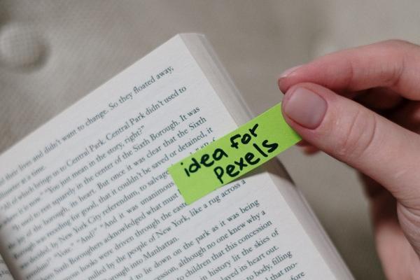 十二生肖哪个属相最花心