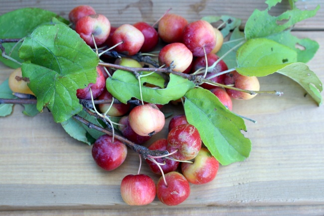 1985的牛和1990的马能结婚吗