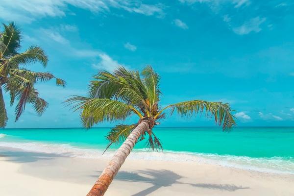 梦到了家里亲戚去世有什么征兆