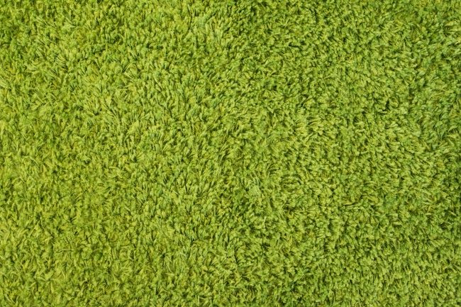 梦到考试成绩单预示什么