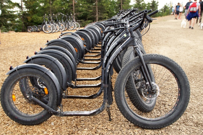 鼠年生人，结婚在哪个月最好