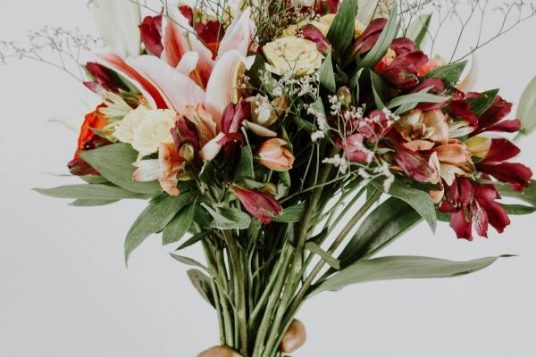 2025年属狗人运势详解：忠诚努力，收获满满