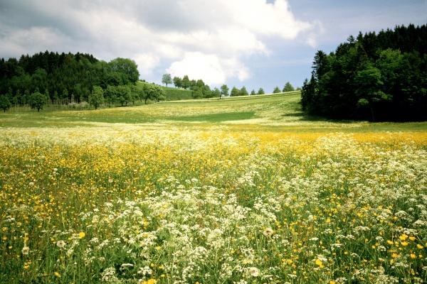 70年女狗晚年靠谁养老