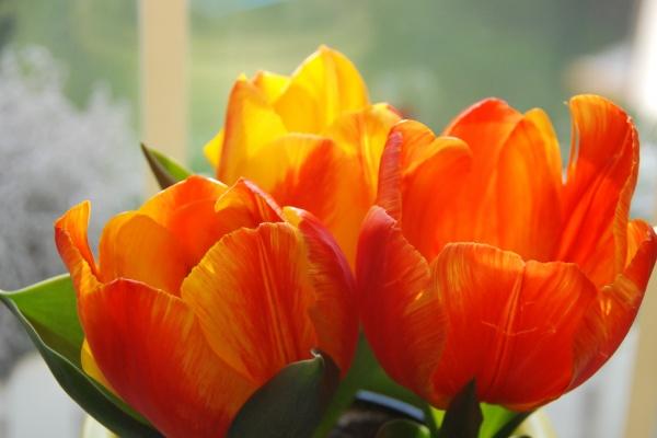 梦到了饭做糊了有什么寓意吗