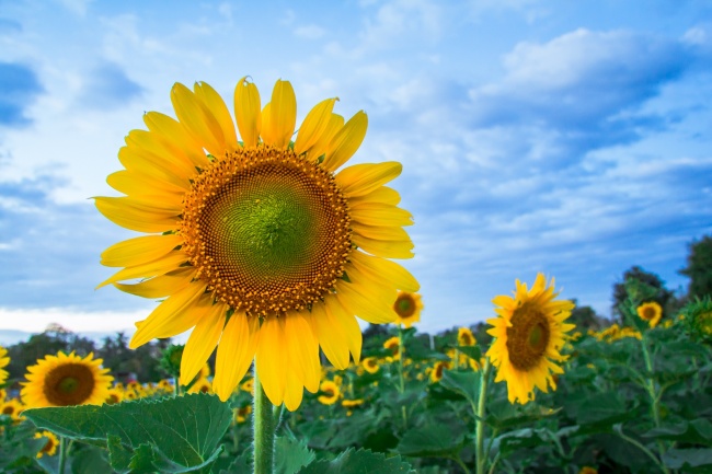 正缘一般都相差几岁2004