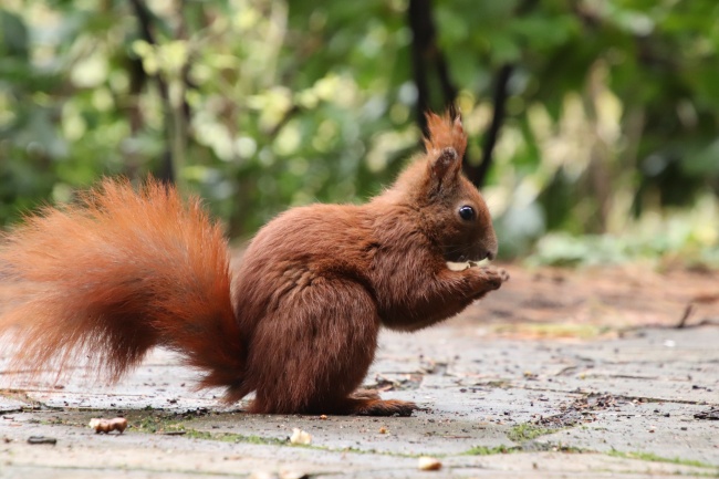 71年猪女晚年靠谁养老