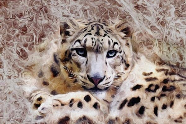 87年兔83年猪谁更旺谁