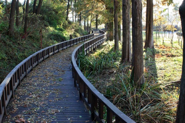 属鸡几月出生最有钱