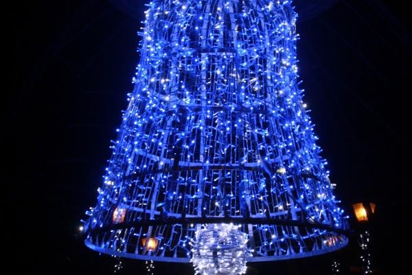 梦到了喂牲口预示什么