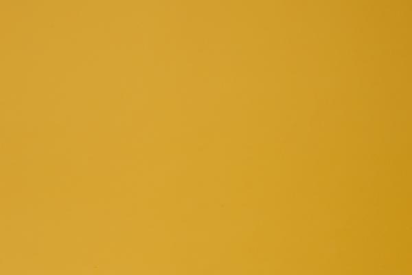 79属羊46岁会遇上真爱吗