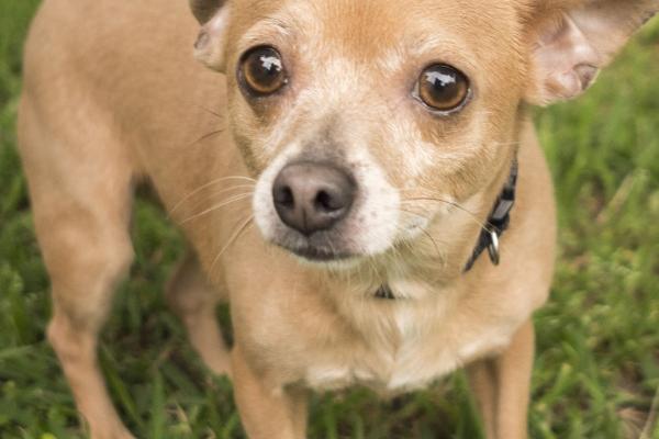 梦到谈情是凶兆还是吉兆