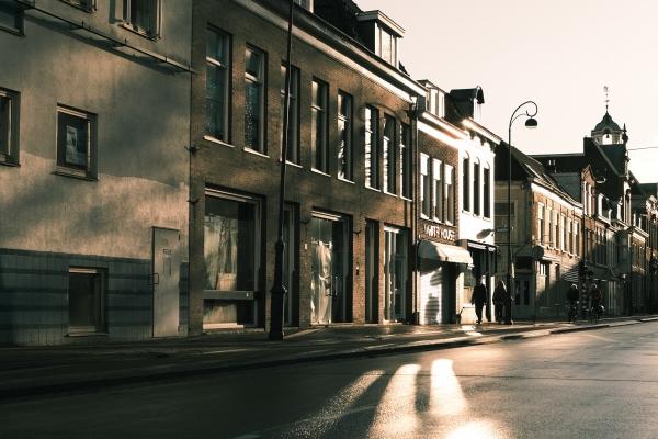 富贵兔一般生在几月