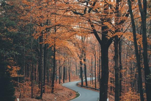 98年虎多大结婚最好