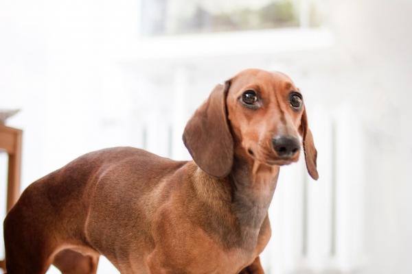 1979羊女和1980猴男能过一生吗