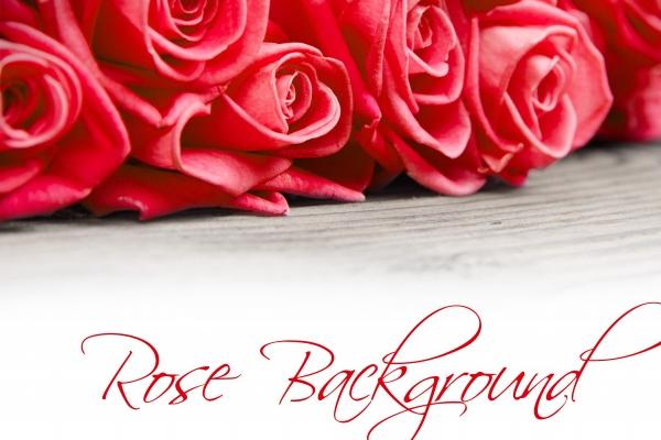 第一运程 2024年11月27日十二生肖运势解析