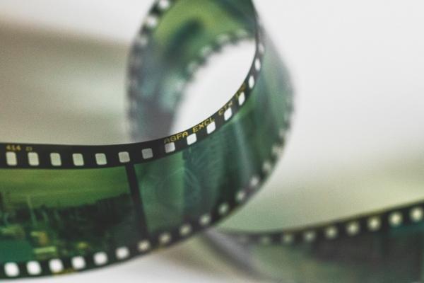 第一运程 2024年12月31日十二生肖运势解析