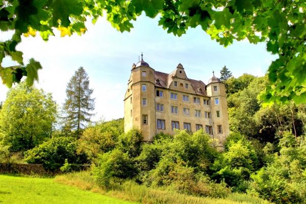 郑博士 十二生肖周运详解2025.1.27-1.22