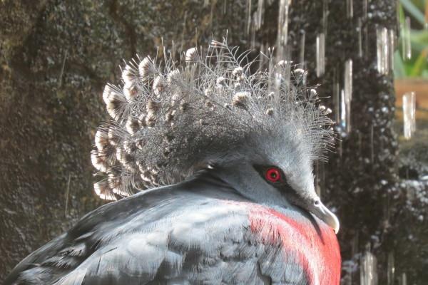 第一运程 2025年2月23日十二生肖运势解析