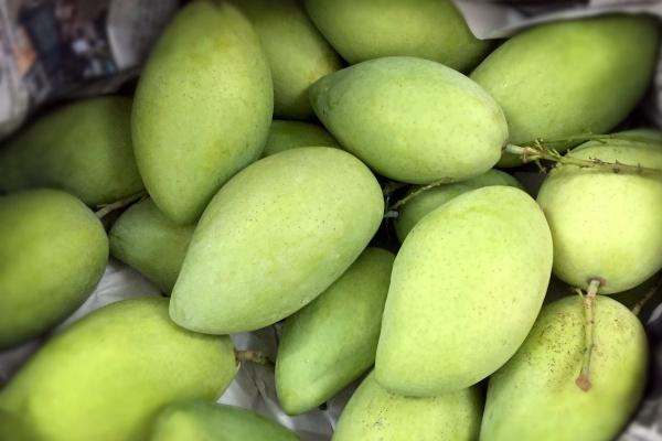 第一运程 2025年2月17日十二生肖运势解析