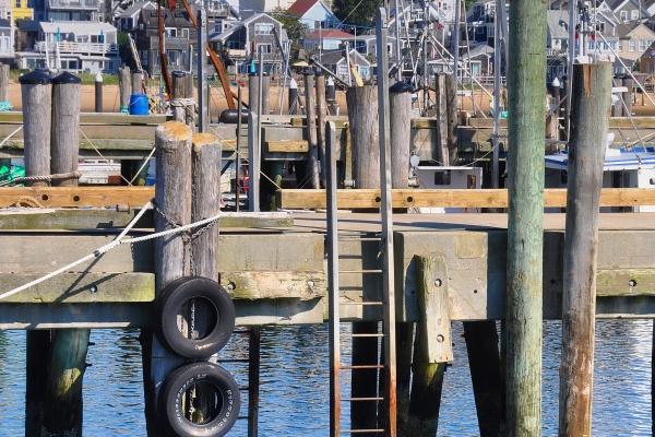 第一运程 2025年十二生肖周运1.20-1.26