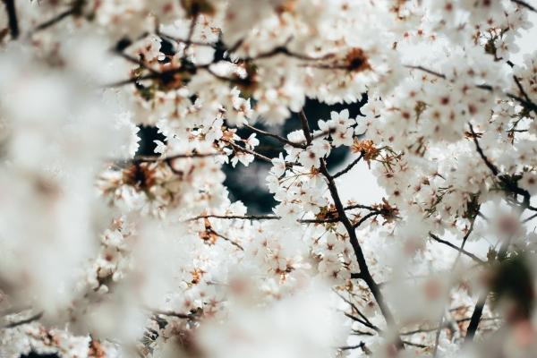 属猴的大驿土命适合做什么行业