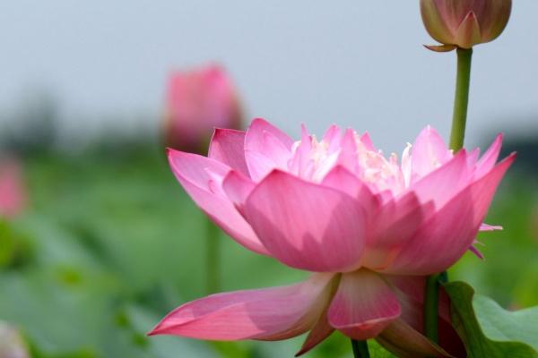 第一运程 2025年3月4日十二生肖运势解析