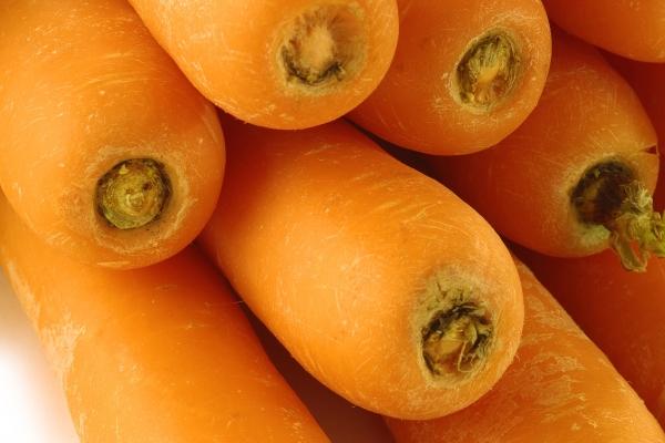 杨清华 十二生肖一周运势2025.2.24-3.2