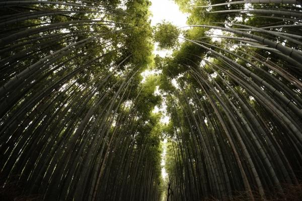 正缘一般都相差几岁05属鸡