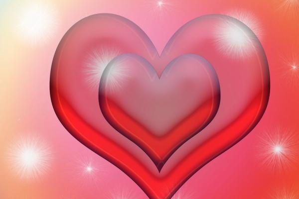 梦见弦子有什么意思