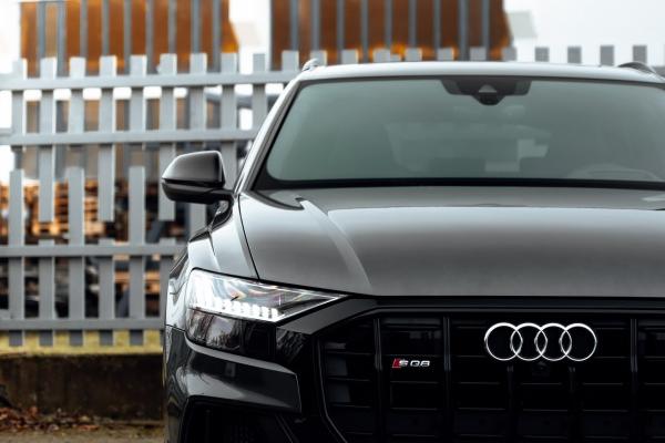 梦见蛇虫子怎么样