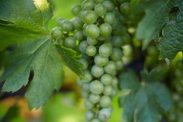 梦到自己被人骂什么预兆