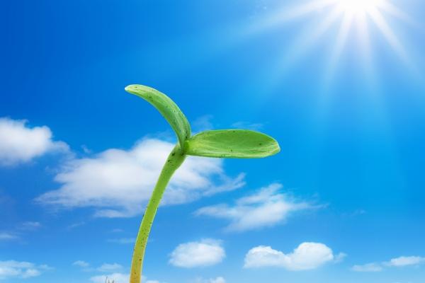 梦到了自己住新房预示什么