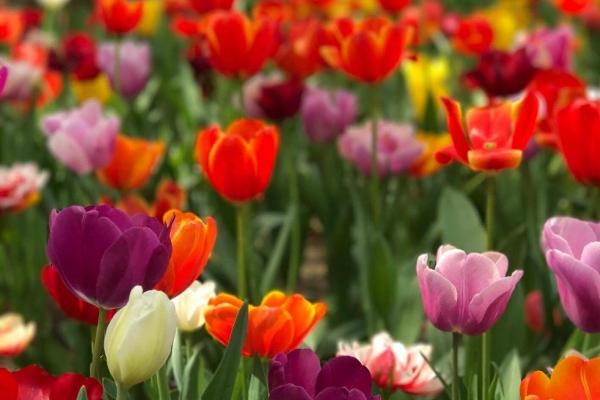 梦见领导交谈是啥意思