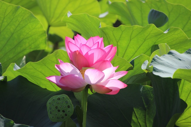 梦到被人诽谤有什么预示吗