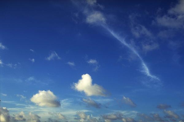 梦见去找前女友有什么意思吗