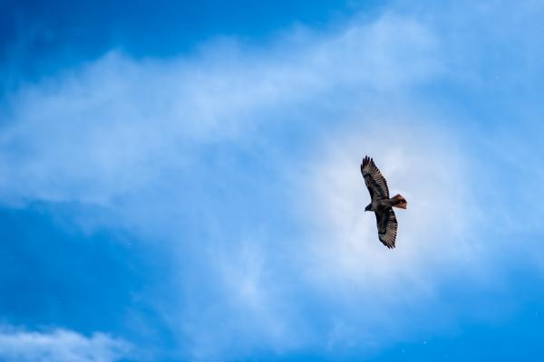 梦见不待见会是什么预兆