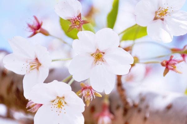 梦到了别人有女朋友是什么意思