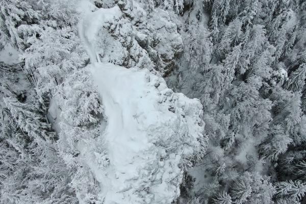 梦到了回去工作有什么意义吗