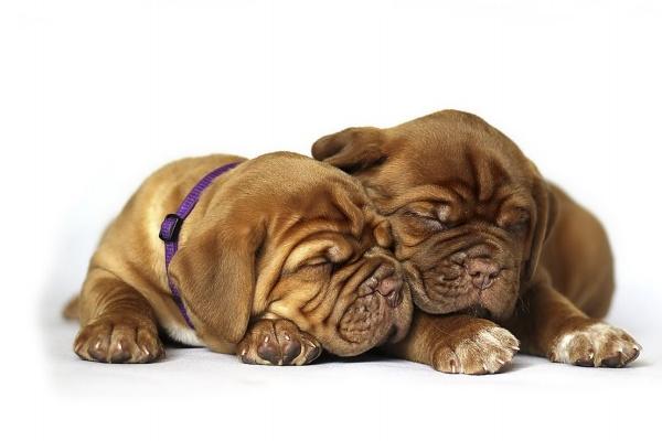 梦见自己算卦有什么说法