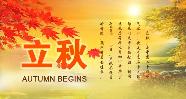 梦到妻子拉屎有什么意义吗