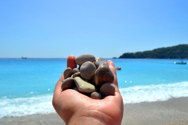 梦到了枣有虫有什么征兆