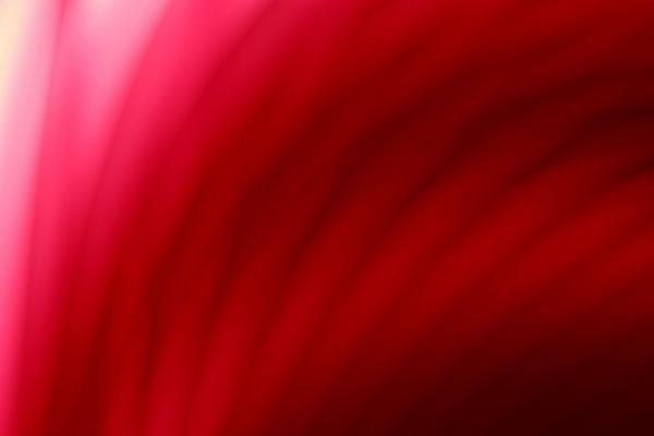 梦到了自己烫发什么预兆