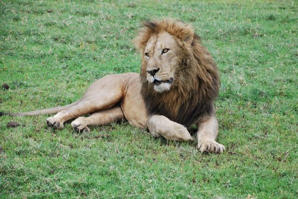 梦到女友自杀预示什么