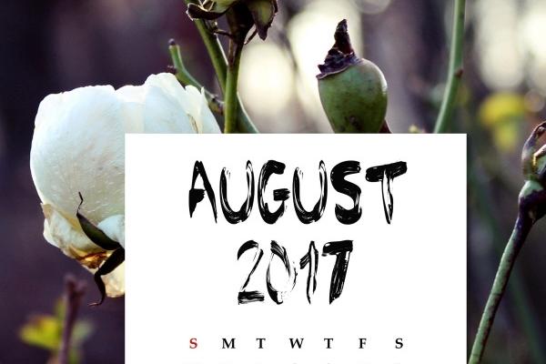 梦到鞋带松了预兆了什么吗