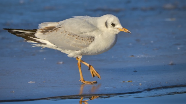 梦到了帮别人搞卫生的预兆