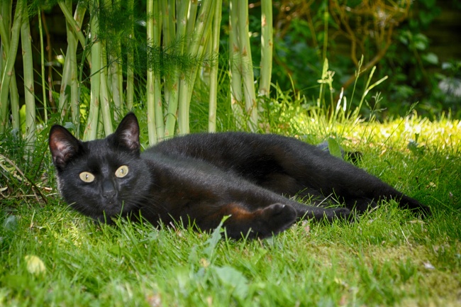 梦到了房顶漏水了是吉兆吗?