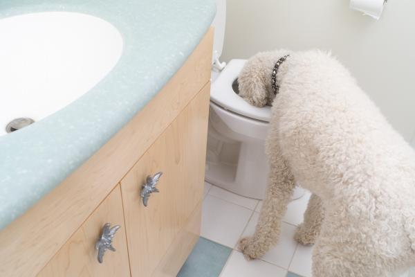 梦到了前夫爸爸是好是坏