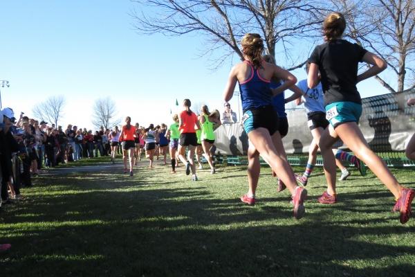 梦到柳木怎么回事